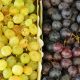 Wine Geek Week