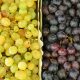 Wine Geek Week: The best of the Veneto and Friuli 7 days/6 nights