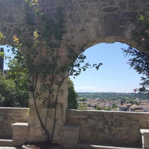 Vineyards and Castles