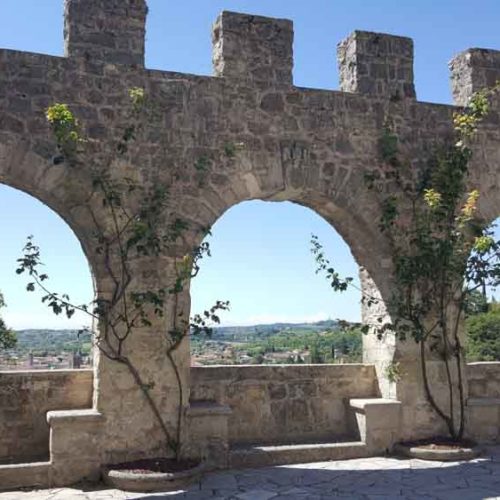 Vineyards and Castles