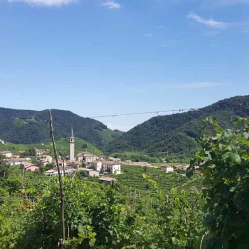 Vineyards and Castles