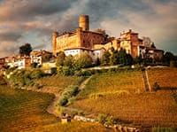 Barolo Wine Tour