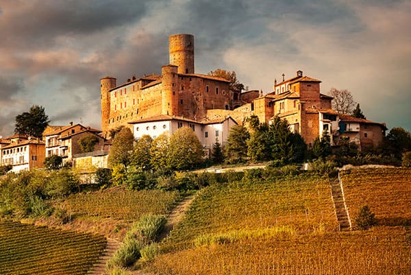 Barolo Wine Tour