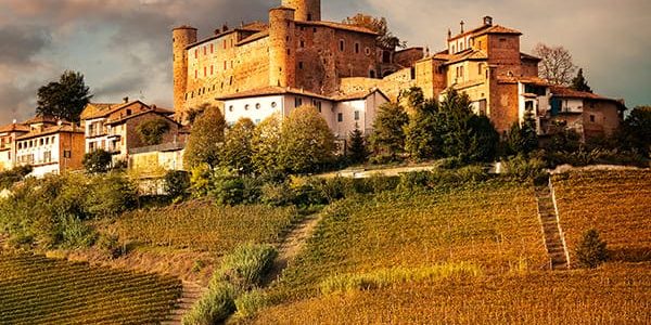 Barolo Wine Tour