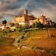 Barolo Wine Tour