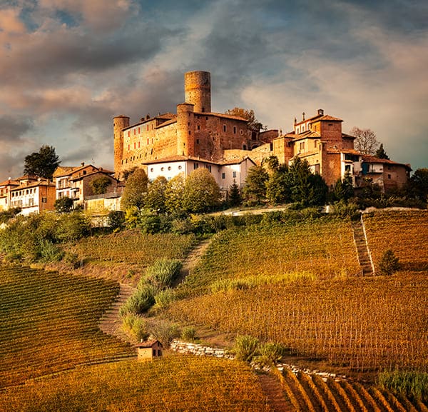 Barolo Wine Tour